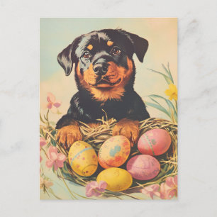 Rottweiler  Easter Briefkaart
