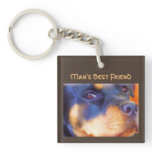 Rottweiler Editable Portret Beauful Animal Dog