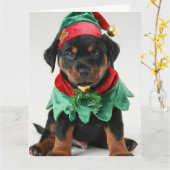 Rottweiler Elf Puppy Kerst Kaart (Gele Bloem)