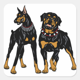 rottweiler en doberman vierkante sticker