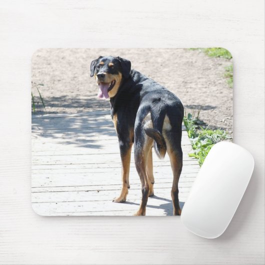 Rottweiler en German Shepherd Cross Muismat (Met muis)