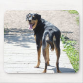 Rottweiler en German Shepherd Cross Muismat (Voorkant)