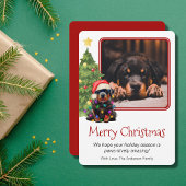 Rottweiler en kerstboomfoto's Pet Dog Eén foto Feestdagenkaart