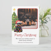 Rottweiler en kerstboomfoto's Pet Dog Eén foto Feestdagenkaart (Staand voorkant)