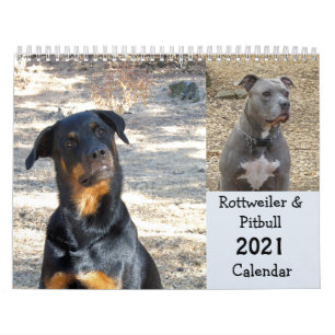 Rottweiler en Pitbull Calendar Kalender