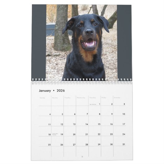 Rottweiler en Pitbull Calendar Kalender (Jan 2026)