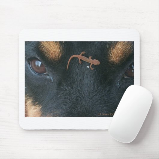 Rottweiler en salamander-muispad muismat (Met muis)