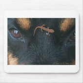 Rottweiler en salamander-muispad muismat (Voorkant)