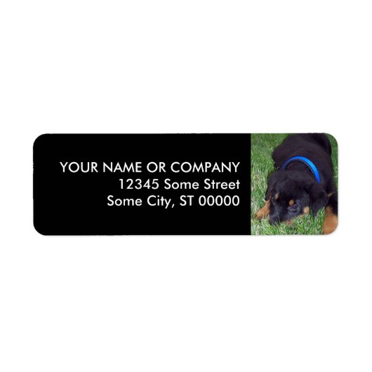 rottweiler. etiket (Voorkant)