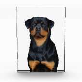 Rottweiler   fotoblokken (Voorkant)