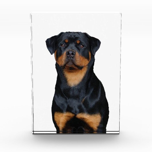 Rottweiler   fotoblokken (Voorkant)