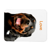 Rottweiler Fotomagneet Magneet (Horizontaal)