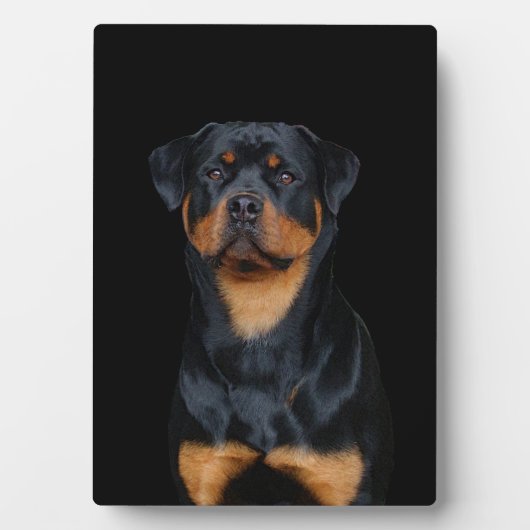 Rottweiler Fotoplaat (voorkant)