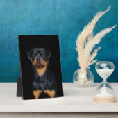 Rottweiler Fotoplaat (Zijkant)