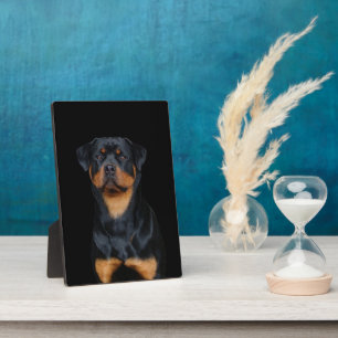 Rottweiler Fotoplaat