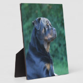 Rottweiler Fotoplaat (Zijkant)