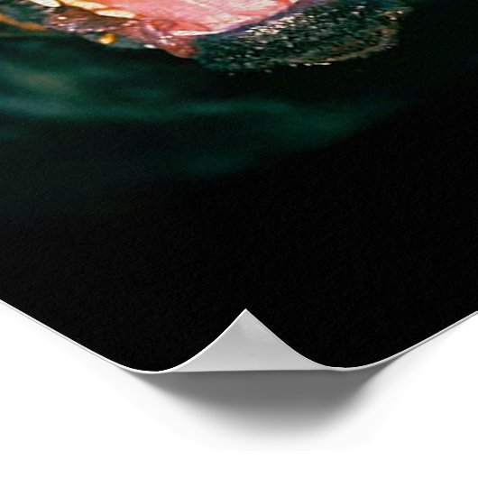 Rottweiler funny poster (Hoek)