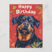 Rottweiler Gefeliciteerd  Briefkaart (Voorkant)