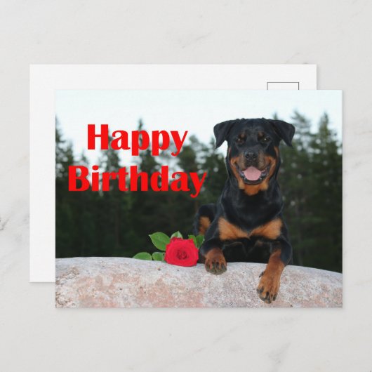 rottweiler gefeliciteerd briefkaart (Voorkant / Achterkant)