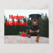 rottweiler gefeliciteerd briefkaart (Voorkant)