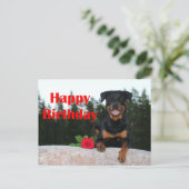 rottweiler gelukkige verjaardag briefkaart (Staand voorkant)