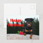 rottweiler gelukkige verjaardag briefkaart (Voorkant / Achterkant)