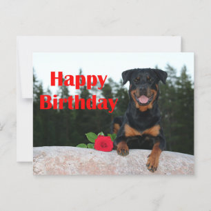 rottweiler gelukkige verjaardag briefkaart