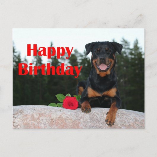 rottweiler gelukkige verjaardag briefkaart (Voorkant)