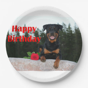 rottweiler-gelukkige verjaardag papieren bordje
