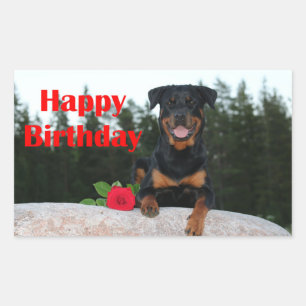 rottweiler-gelukkige verjaardag rechthoekige sticker