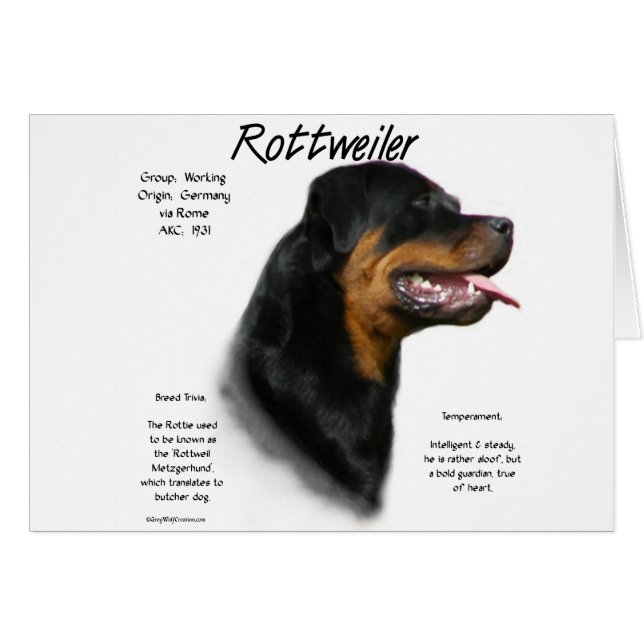 Rottweiler Geschiedenis Ontwerp (Voorkant Horizontaal)