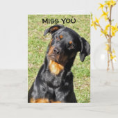 Rottweiler Get Goed Binnenkort Kaart (Gele Bloem)