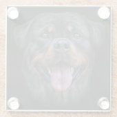 Rottweiler Glazen Onderzetter (Achterkant)