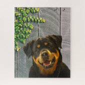 Rottweiler glimlachend Jigzaag Puzzle Legpuzzel (Verticaal)