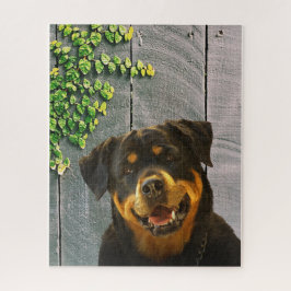 Rottweiler glimlachend Jigzaag Puzzle Legpuzzel