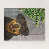 Rottweiler glimlachend Jigzaag Puzzle Legpuzzel (Horizontaal)