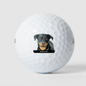 Rottweiler Golfballen (Voorkant)