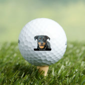 Rottweiler Golfballen (Insitu Shirt)