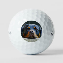 Rottweiler Golfballen
