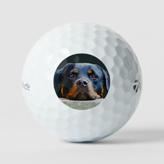 Rottweiler Golfballen (Voorkant)