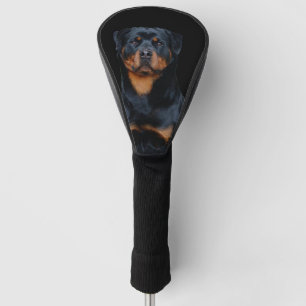 Rottweiler golfheadcover