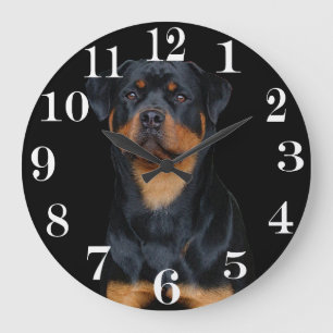 rottweiler   grote klok