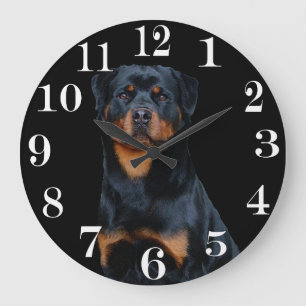 Rottweiler  grote klok