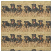 rottweiler-group.png stof (Swatch)