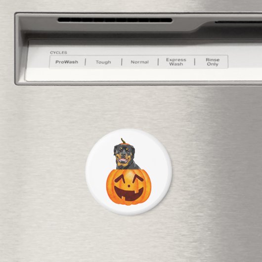 Rottweiler Halloween Magneet (Insitu (Vaatwasser))