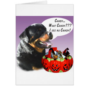 Rottweiler Halloween Snoep