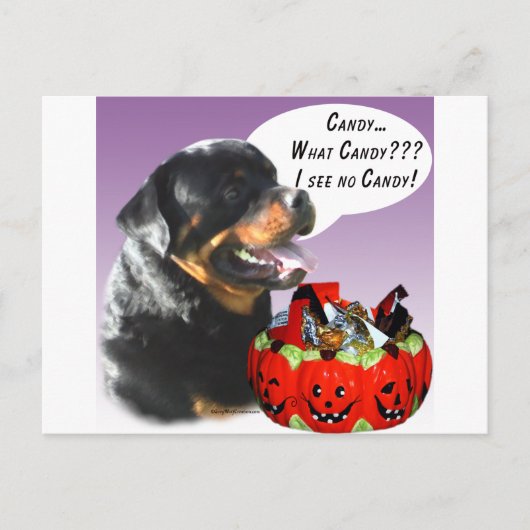 Rottweiler Halloween Snoep Briefkaart (Voorkant)