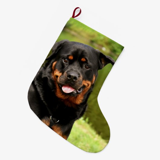 Rottweiler Happy kerststopping Grote Kerstsok (Voorkant (Hangend))