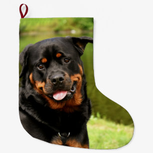 Rottweiler Happy kerststopping Grote Kerstsok