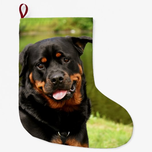 Rottweiler Happy kerststopping Grote Kerstsok (Voorkant)
